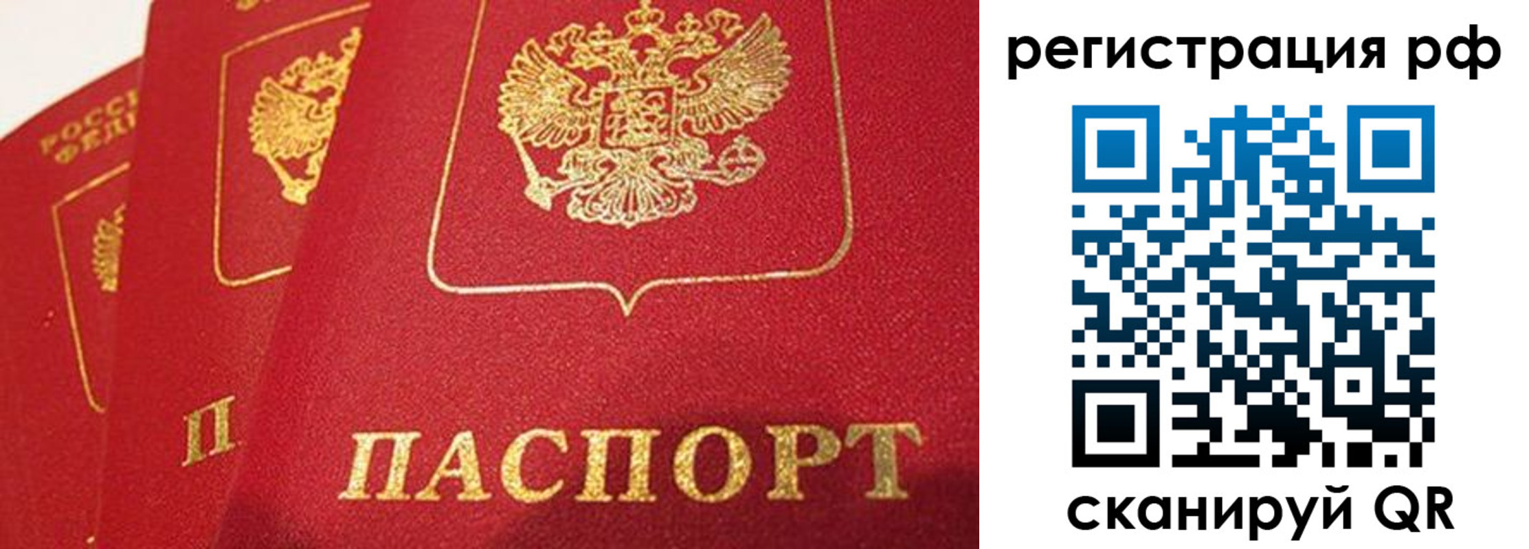 прописка поиск в Гусеве